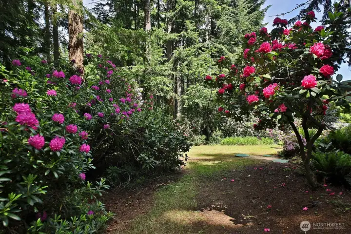 Lush, mature landscaping