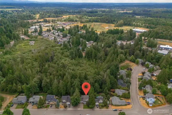 Aerial view of the neighborhood.