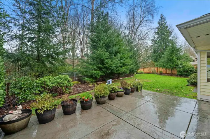 Enjoy your private backyard retreat with spacious back patio