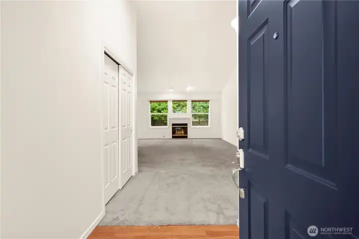 Gas fireplace in the livingroom