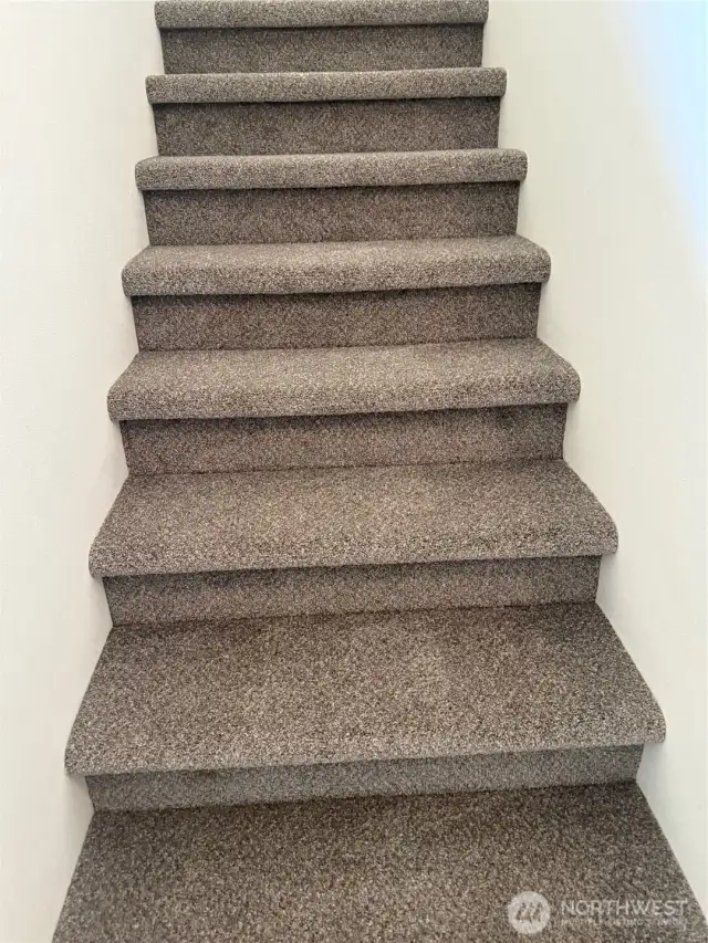 New carpet on stairs