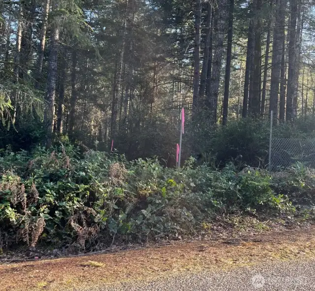 Flags showing property line - can see from 128th st