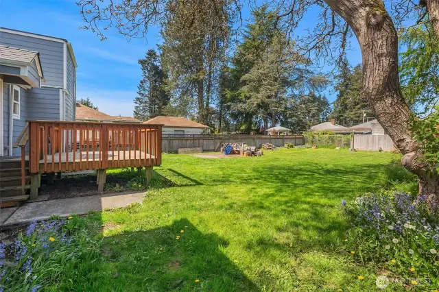 Huge back deck and back yard off or kitchen