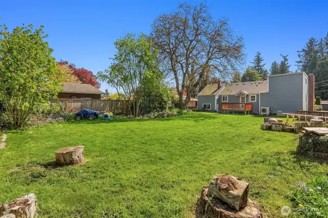 Huge back deck and back yard off or kitchen