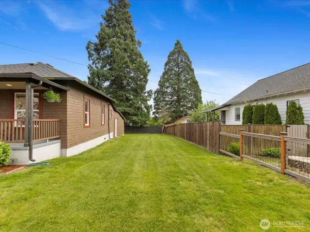 Side yard
