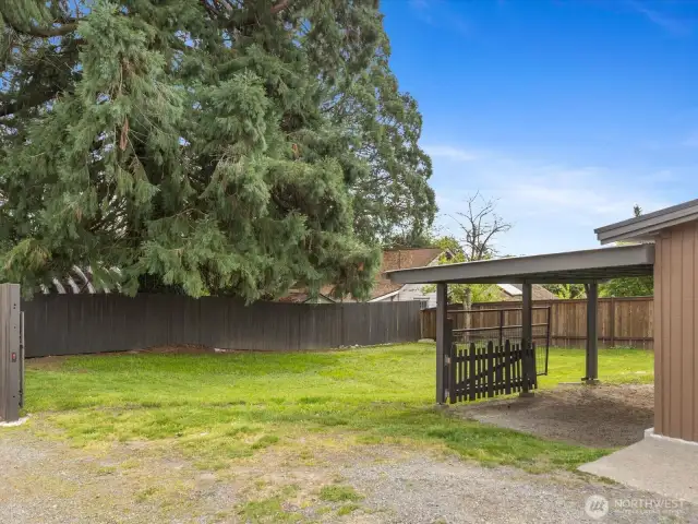 Back yard, there are gates to close off the yard and the carport