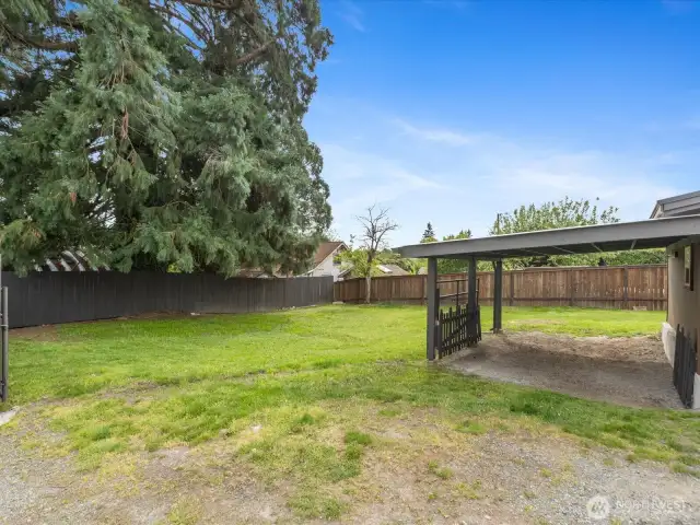 Gated entrance to the back yard and the carport