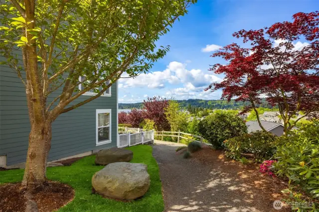 The pathway beside the home