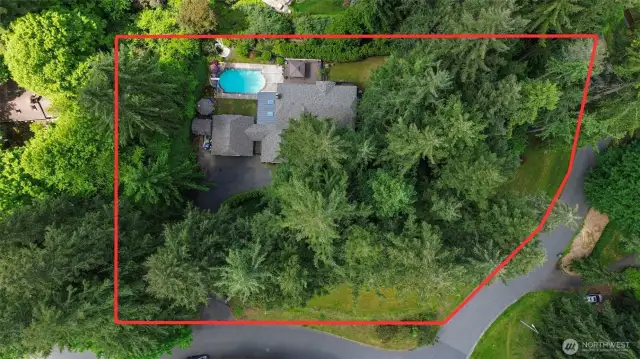 .99 acre lot includes low-maintenance treed hillside and the grassy knoll
