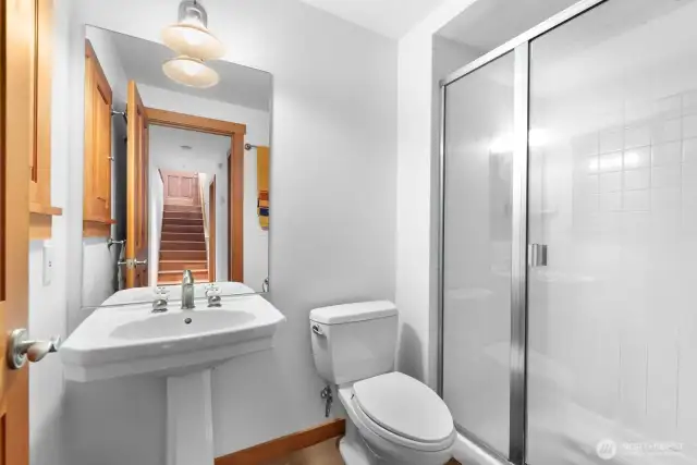 Lower level bathroom