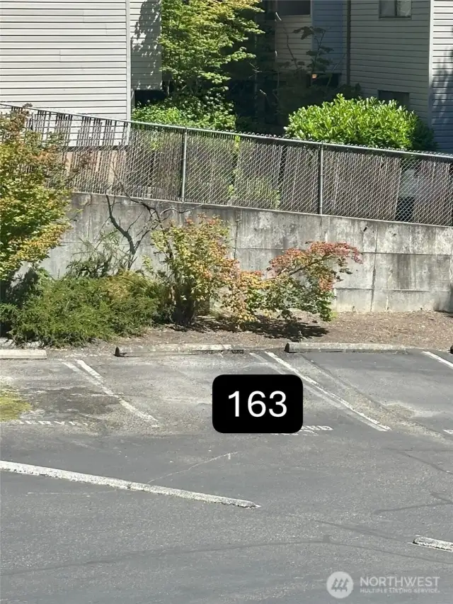 parking #163