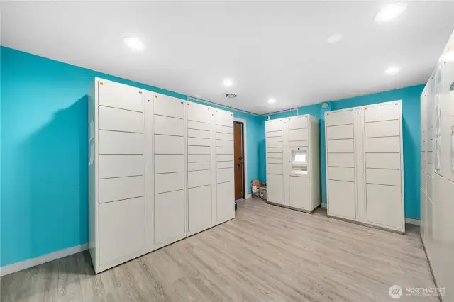 Secure Mail Locker