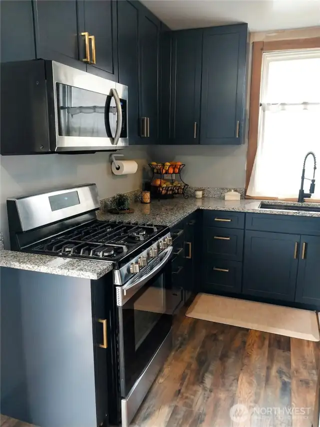 Gas Stove