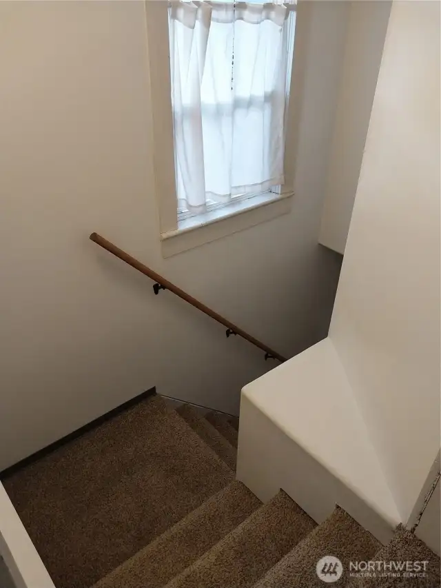 New carpet