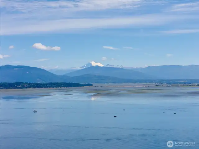 Mt Baker View