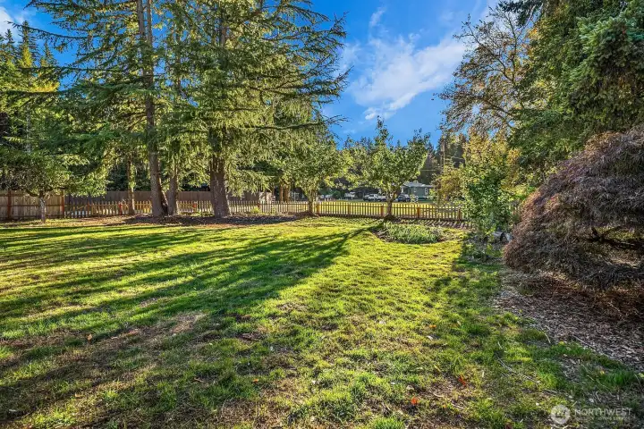 Level fully fenced front and backyard with plenty of room to roam, run, and garden.