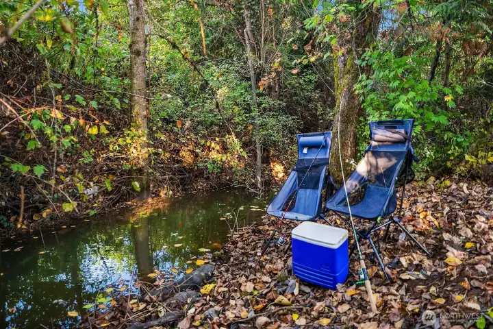 Small season nearby creek is great for exploring and relaxing! The fishing is great at Lake Wilderness (just a short walk from this home).