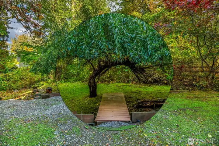 enhanced view of bridge and arched tree across the creek
