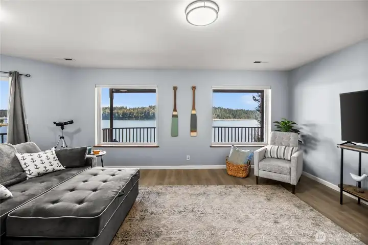 Lower level Family room