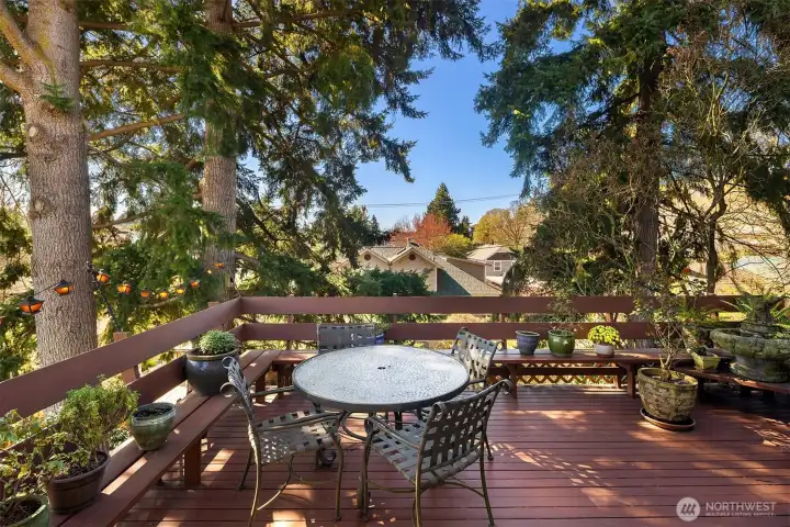 Large, private deck off the kitchen with amazing views of the Mt Rainier and the Olympics and overlooking the serene, park-like backyard