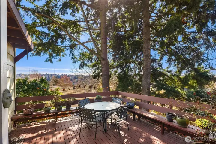 Large, private deck off the kitchen with amazing views of the Mt Rainier and the Olympics and overlooking the serene, park-like backyard