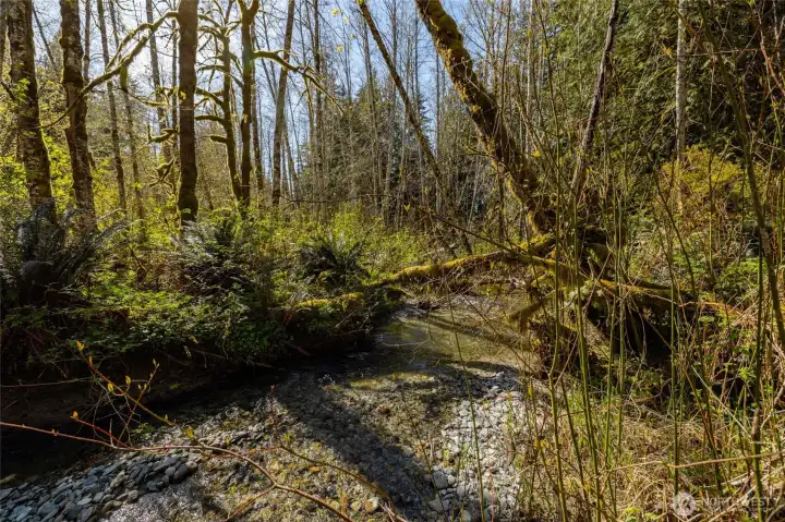 Numerous creeks and springs dot the property, including year-round salmon creek, Anderson Creek.