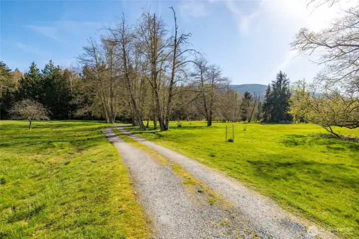 The lower portion of the property is in pasture, and could be suitable for animals with proper fencing.