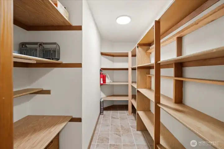 Kitchen walk-in pantry. It's spacious.