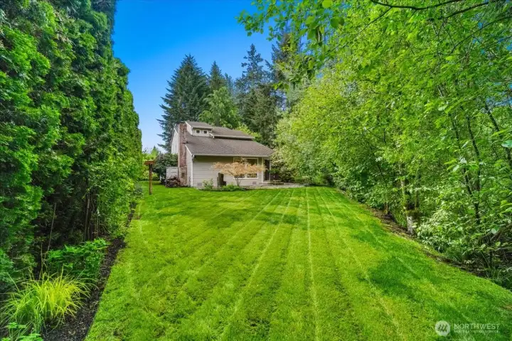 A lush backyard in every way.