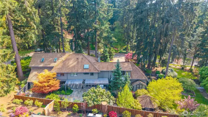view from above shows the privacy and mature landscapin