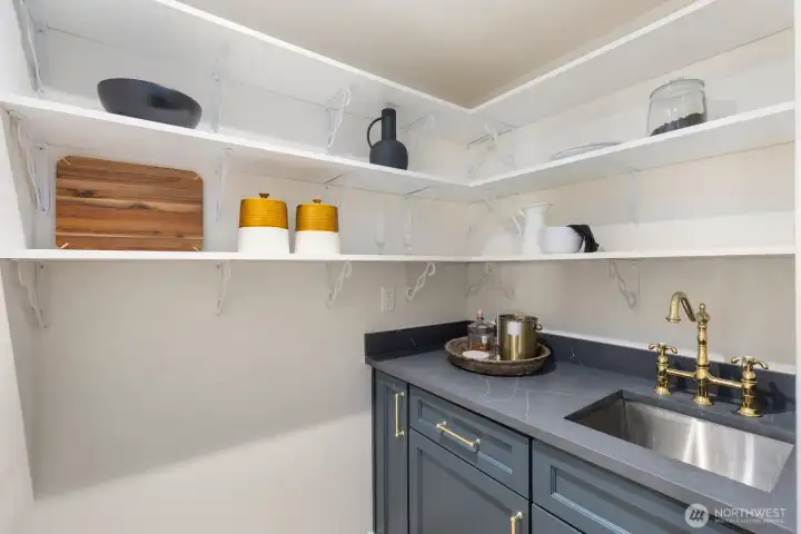 Mini Butler Pantry with Rinse Station