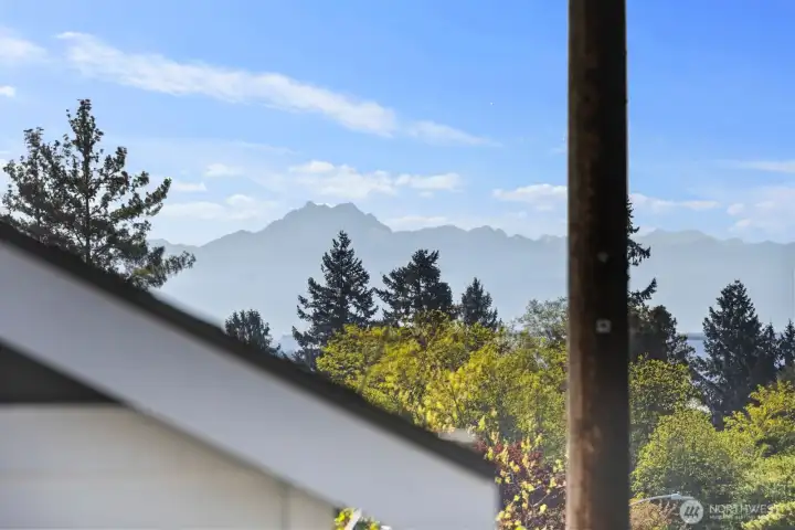 View from Primary