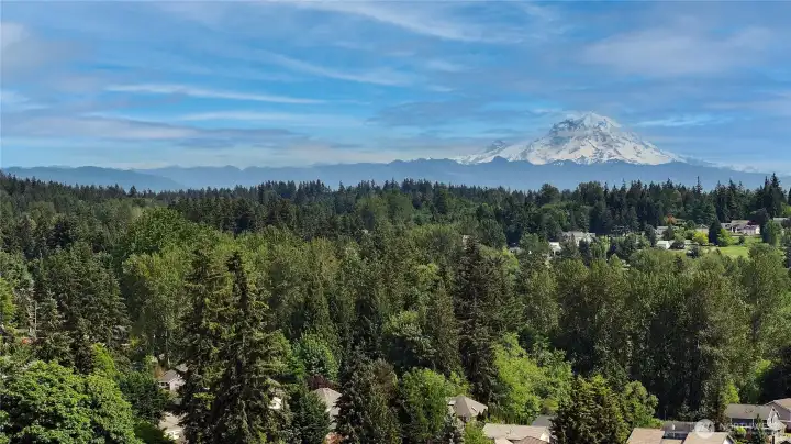 This view of Mt. Rainier is from above the home, but also can be seen from backdeck on clear day.