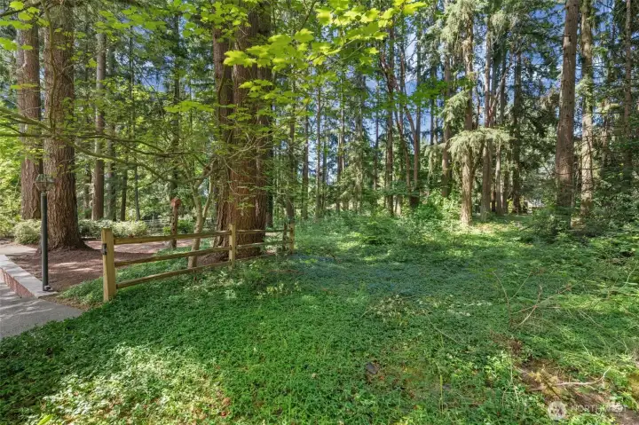 A charming gate at the back of the property opens to the pasture beyond, perfect for horses or simply enjoying the peaceful, open surroundings.