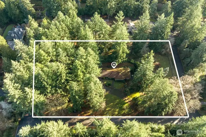 Nestled on 1.745 private acres, this exceptional property offers a rare combination of space, mature evergreens, and endless possibilities. Enjoy the privacy of a wooded retreat in Bridle Trails while remaining just minutes from Bellevue, Kirkland, and Seattle.