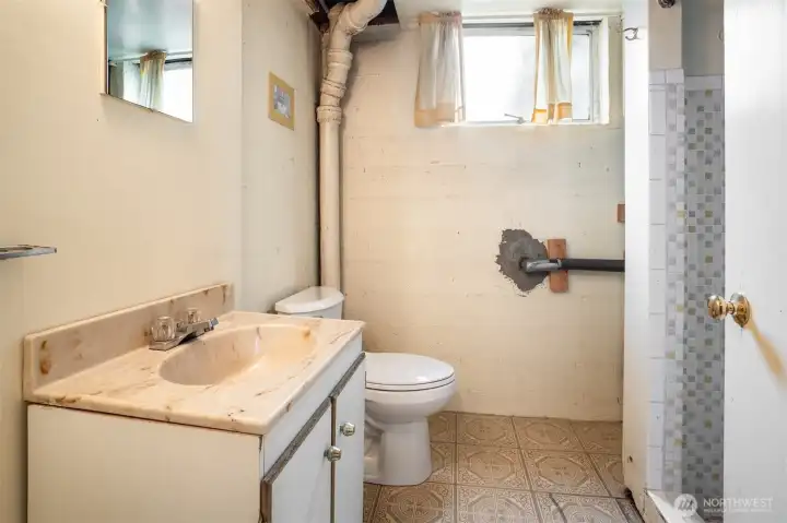 Basement Bathroom
