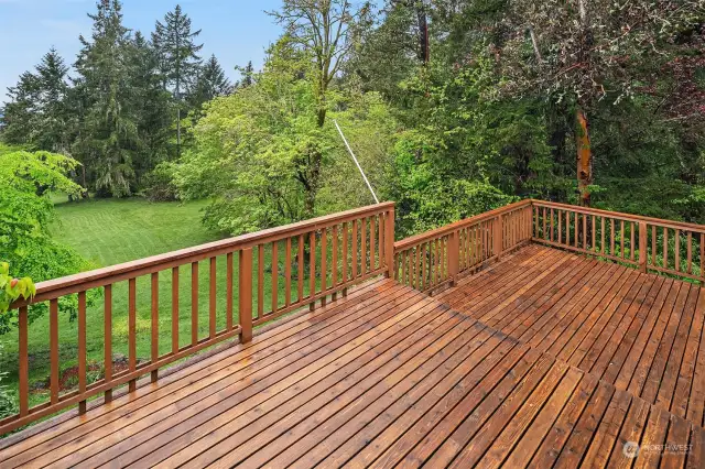 Large deck off main floor living room with SW views overlooking green pasture, forest and sunset skies.