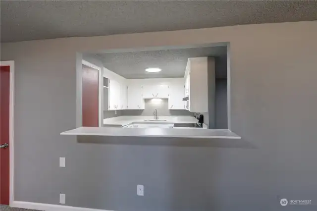 Looking into Kitchen