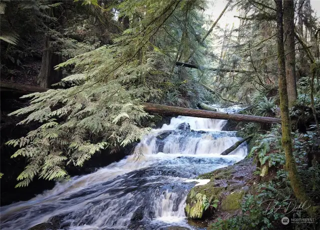 The Port Ludlow Falls trail is a popular with locals and visitors. If you're lucky, you might see an otter fishing in the falls.