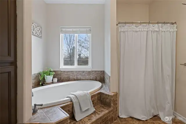 Soaking Tub & Step-in Shower