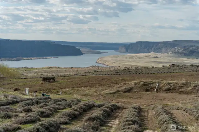 Fabulous views of the Columbia.