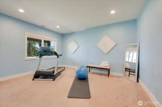 LL guest bedroom set up as an exercise space. Has attached walk-in closet and full bath.