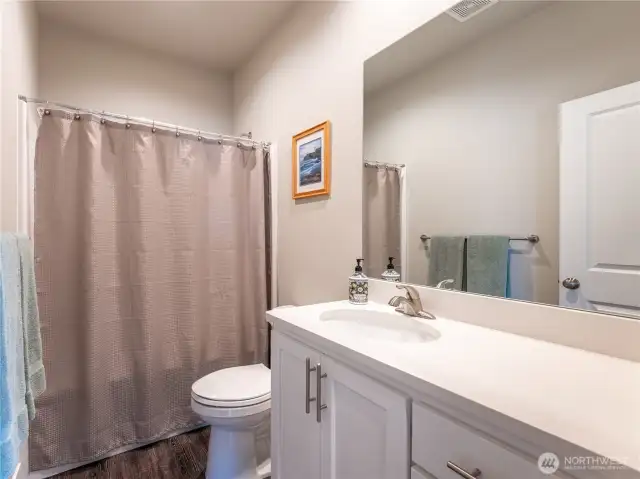 Main Bathroom (tub/shower unit)