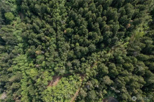 The clearing visible is located on Lot 11 with plenty of parking. Look for the sign pointing to a footpath that will show you the incredible views from the upper ridge. A great place to build and take advatange of the views.
