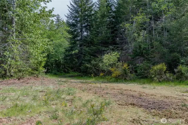 This clearing shows an easement over a small section of private land that hooks around for lot 11 and access to the upper loop close to the DNR border. The upper loop is very level and usable!