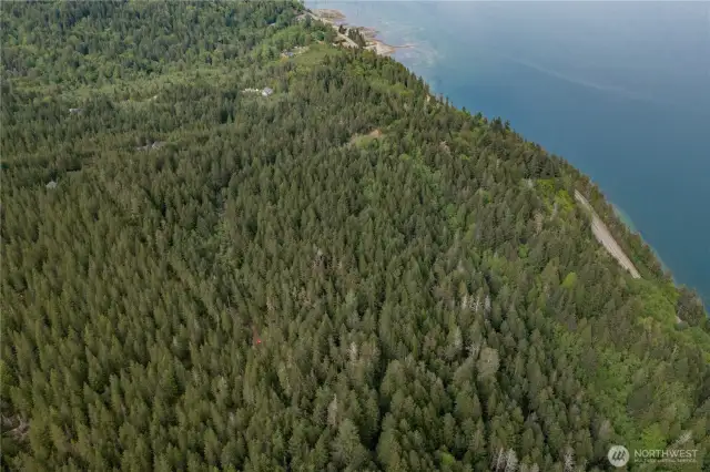 You can make out the easement roads and additional access trails in the shading in the tree canopy