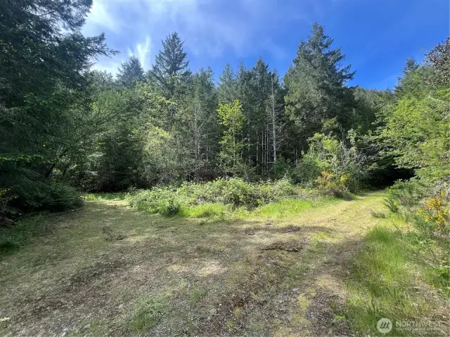 This is the first "Y" in the road located on the line between Lot 3 and Lot 4. Go left to view the upper loop of Lots 1-3 or continue on to the right to view the rest of the properties
