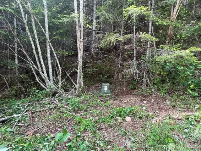 Located just across the easement road from the DOT well on Lot 8