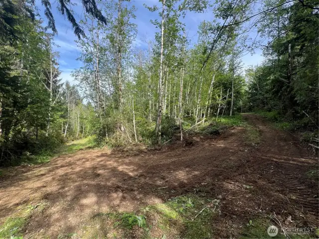 Switchback located on Lot 11 from the main easment road that leads to a massive cleared area and footpath on the ridge to view the canal