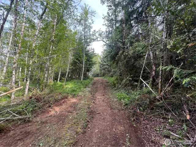 Lot 11 Clearing / Ridge footpath entrance road
